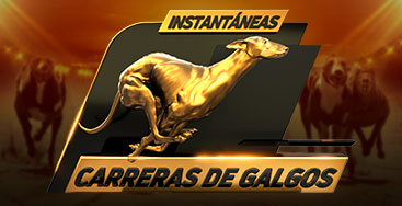 Juega a Carreras de Galgos en nuestro Casino Online