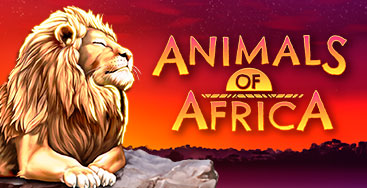 Juega a la slot Animals of Africa en nuestro Casino Online