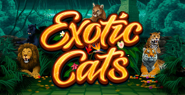 Juega a la slot Exotic Cats en nuestro Casino Online